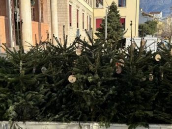 Χριστουγεννιάτικες ευχές που «ριζώνουν» στα σχολεία 