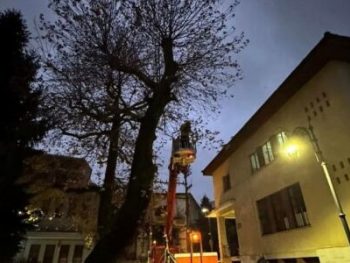 Παρελθόν και ο πλάτανος του Δημαρχείου