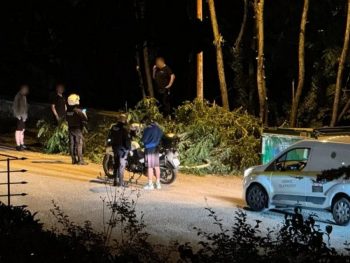 Νυχτερινή επιδρομή και κοπές δέντρων στον Φρόντζο!