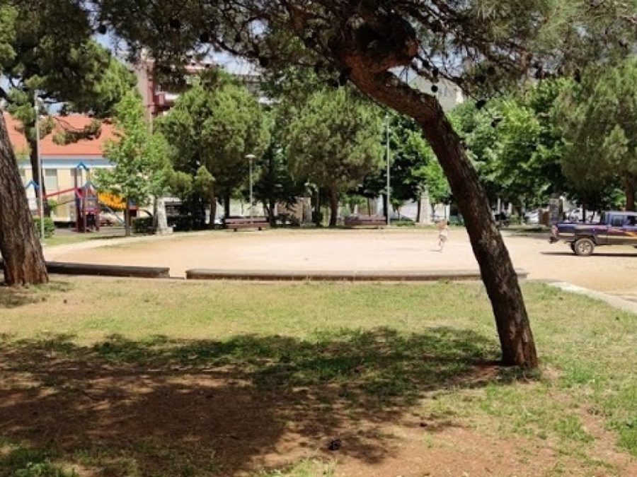 Πικ νικ στο Άλσος από τον δήμο Ιωαννιτών