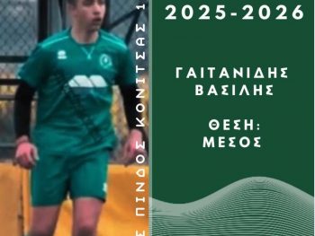 Παραμένει στην υπηρεσία της Πίνδου