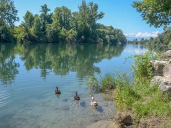 Κερδίζουν τη μάχη τα δύο ανήλικα που ανασύρθηκαν από τον Άραχθο