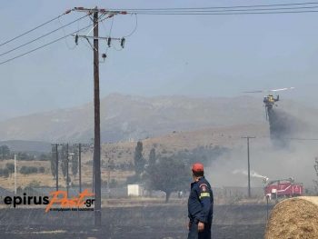 Φωτιά στην Πεδινή Ιωαννίνων: Κινδύνευσαν σπίτια και επιχειρήσεις 