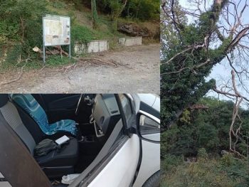 Ενημερώνονταν για τον Δρυμό και τους έπεσε… δέντρο στο αυτοκίνητο