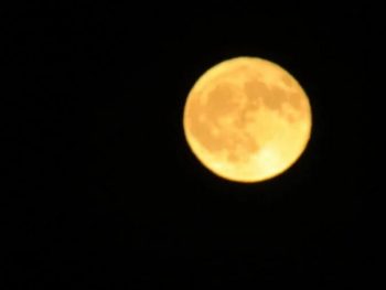Αυγουστιάτικη πανσέληνος - Φως και μουσικές γέμισαν μνημεία και αρχαιολογικούς χώρους