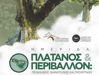 Ημερίδα για την προστασία των πλατάνων στο Συρράκο