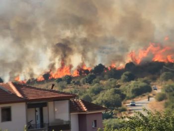 Νέα φωτιά στον Μεσοπόταμο της Πάργας