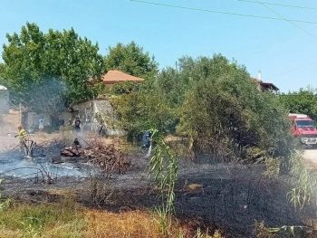 Σε πλήρη έλεγχο πυρκαγιές σε Μιχαλίτσι και Καλαμιά