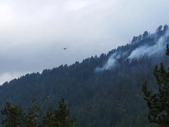 Τριάντα στρέμματα καμένα από την πυρκαγιά στη Βάλια Κάλντα
