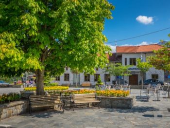 Κλειστός ο Δήμος Βορείων Τζουμέρκων στις 16 Δεκεμβρίου