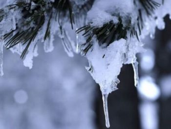 Ισχυρός παγετός - Στους -6°C η χαμηλότερη θερμοκρασία