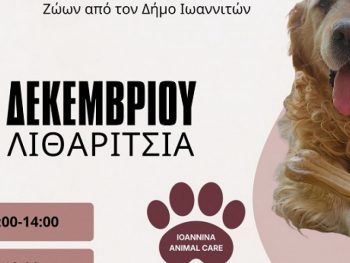 2η Γιορτή Υιοθεσίας Αδέσποτων Ζώων από τον Δήμο Ιωαννιτών 19 και 20 Δεκεμβρίου  στο Πάρκο Λιθαρίτσια