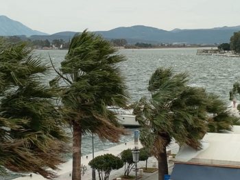Ισχυροί άνεμοι χτυπούν την παραλία της Πρέβεζας- Επιφυλακή για πιθανή πτώση δέντρων ή κλαδιών στην Κυανή Ακτή