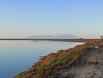 Ολοκληρώθηκε η πρώτη φάση των μεσοχειμωνιάτικων καταμετρήσεις υδρόβιων πουλιών
