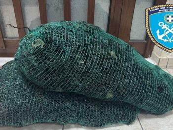 Στα χέρια του Λιμενικού 27χρονος με εκατοντάδες αχινούς στη Θεσπρωτία