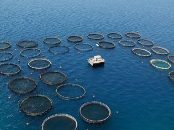 Δικαίωση της Περιφέρειας Ηπείρου για τα Ασφαλτικά της Σαγιάδας