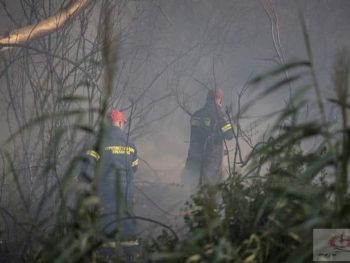 Αναδασωτέα κηρύχθηκε καμένη έκταση στον Αγ. Γεώργιο Πρέβεζας