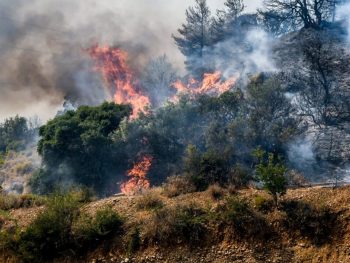Σημαντικό έργο αποκατάστασης αντιπλημμυρικής προστασίας στον Δήμο Ζηρού
