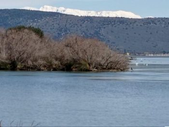 Θετικός ο απολογισμός για την απόδοση των λιμνοθαλασσών της Πρέβεζας για το αλιευτικό έτος 2025-2026