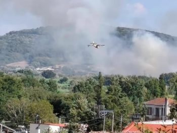 Σύλληψη 57χρονου στο Θεσπρωτικό για τη φωτιά