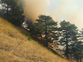 Για 19η ημέρα καίει η φωτιά στην Τραπεζίτσα