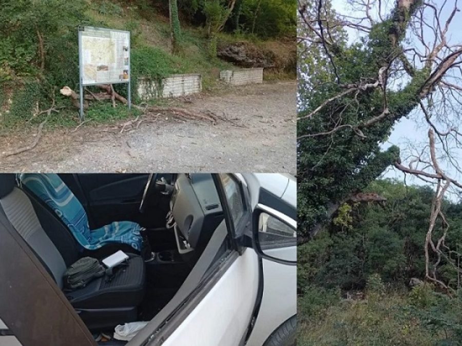 Ενημερώνονταν για τον Δρυμό και τους έπεσε… δέντρο στο αυτοκίνητο
