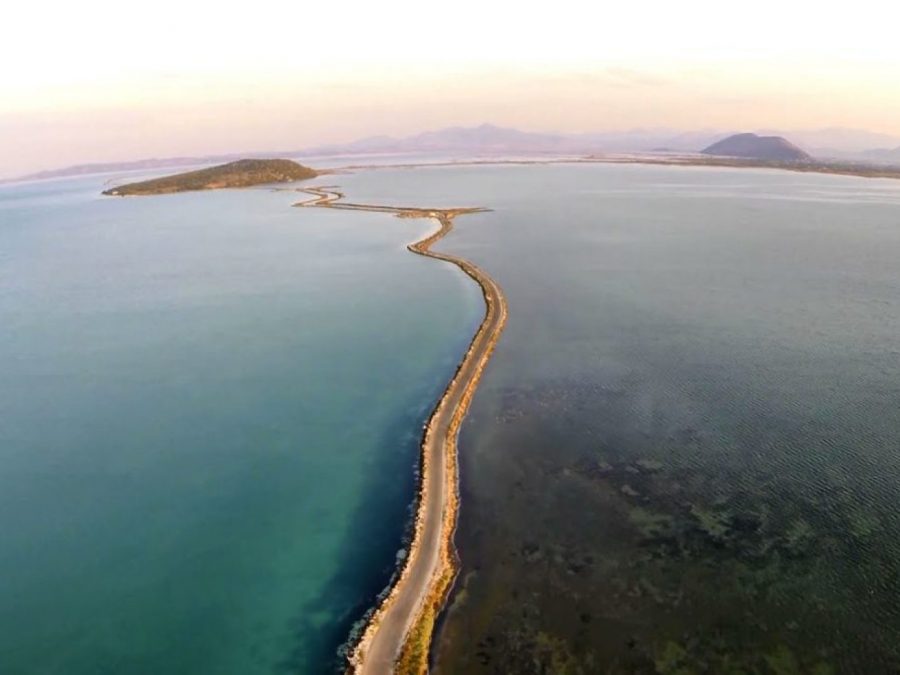 Η Σαρδέλα και η Γαρίδα Αμβρακικού στο «δρόμο» για την ευρωπαϊκή αναγνώριση