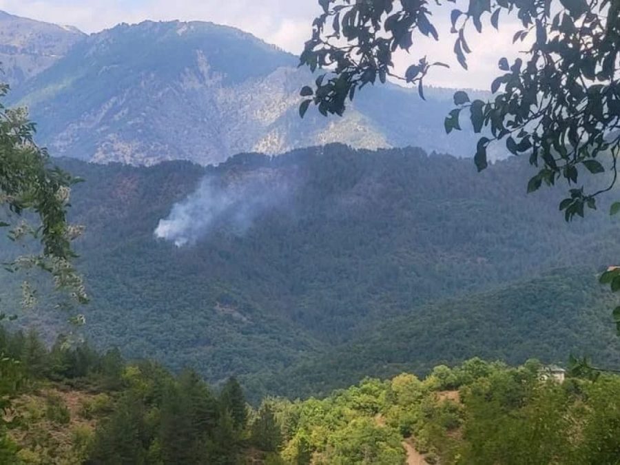 Φωτιά στη Λάιστα Ζαγορίου