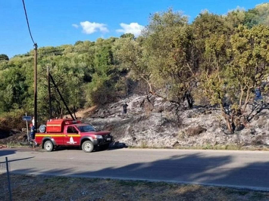 Υπό έλεγχο η φωτιά στο Ράγιο Θεσπρωτίας 