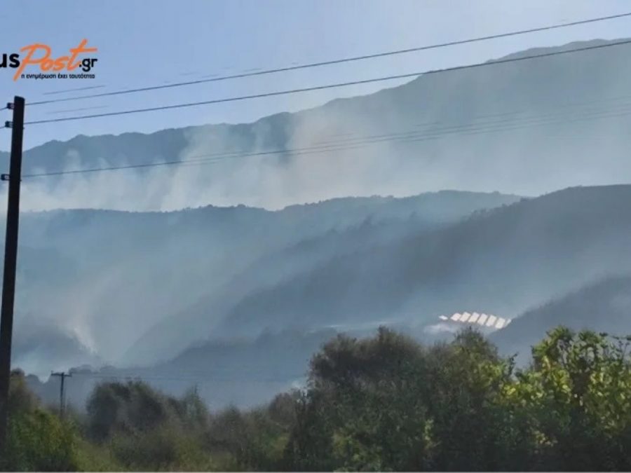 Πέντε αεροπλάνα και δύο ελικόπτερα στη μάχη με τις φλόγες στη Φιλιππιάδα 