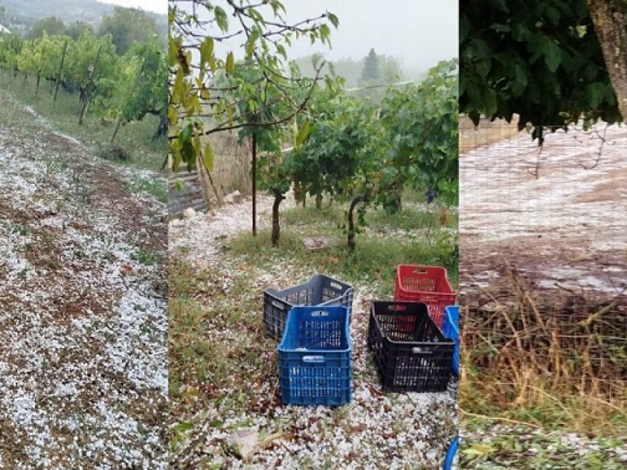 Μεγάλες ζημιές στην Κοσμηρά από την χαλαζόπτωση