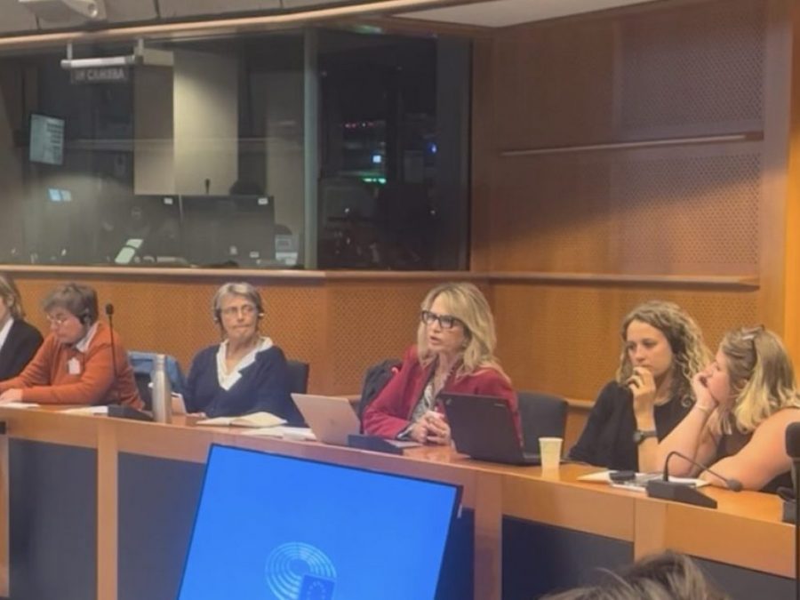 Ο Δήμος Ιωαννιτών για το Προσφυγικό και Μεταναστευτικό στο Ευρωπαϊκό Κοινοβούλιο