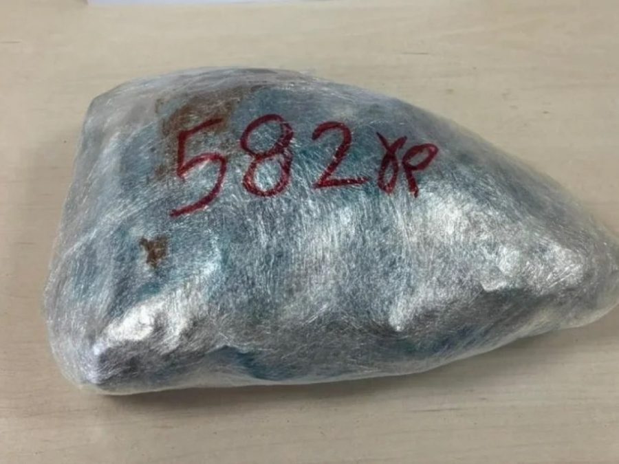 Ταξίδεψε με 582 γραμμάρια χασίς