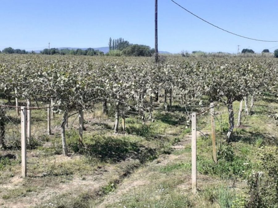 Δήμος Άρτας-ΕΛΤΑ: Πορίσματα εκτίμησης ζημιών