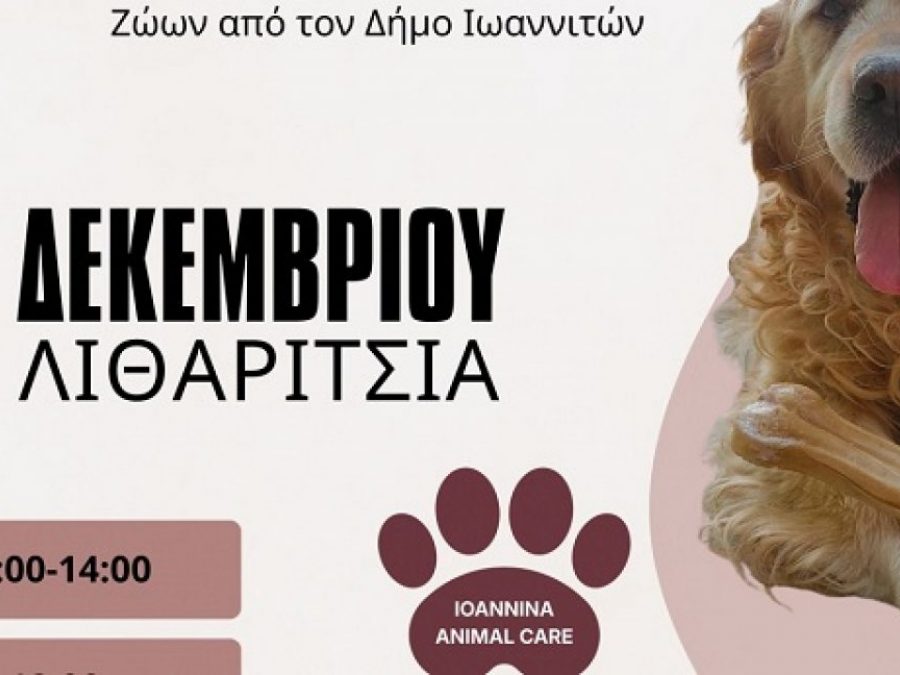 2η Γιορτή Υιοθεσίας Αδέσποτων Ζώων από τον Δήμο Ιωαννιτών 19 και 20 Δεκεμβρίου  στο Πάρκο Λιθαρίτσια