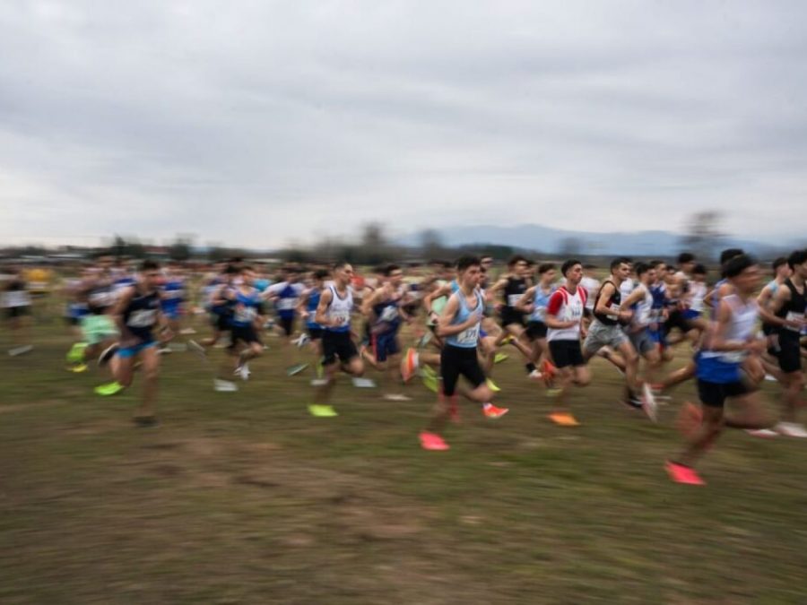 Οι 12άδες από τους Περιφερειακούς Αγώνες δρόμου σε ανώμαλο έδαφος