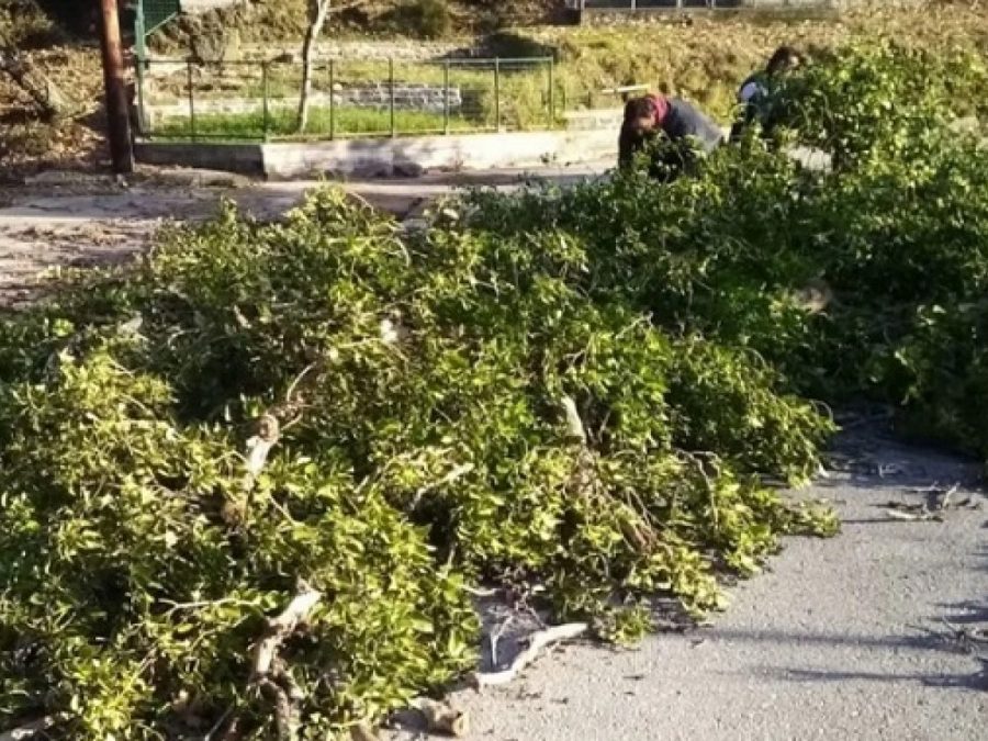 Σάρωσαν οι άνεμοι τον ορεινό όγκο της Ηπείρου