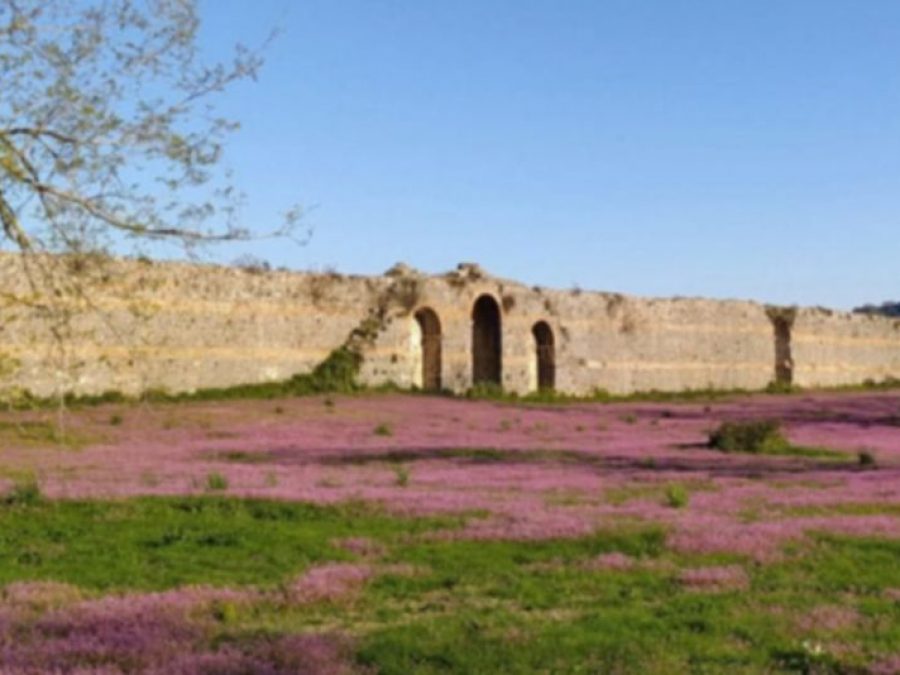 Προχωρούν οι εργασίες για τις διαδρομές ΑΜΕΑ στον αρχαιολογικό χώρο της Νικόπολης