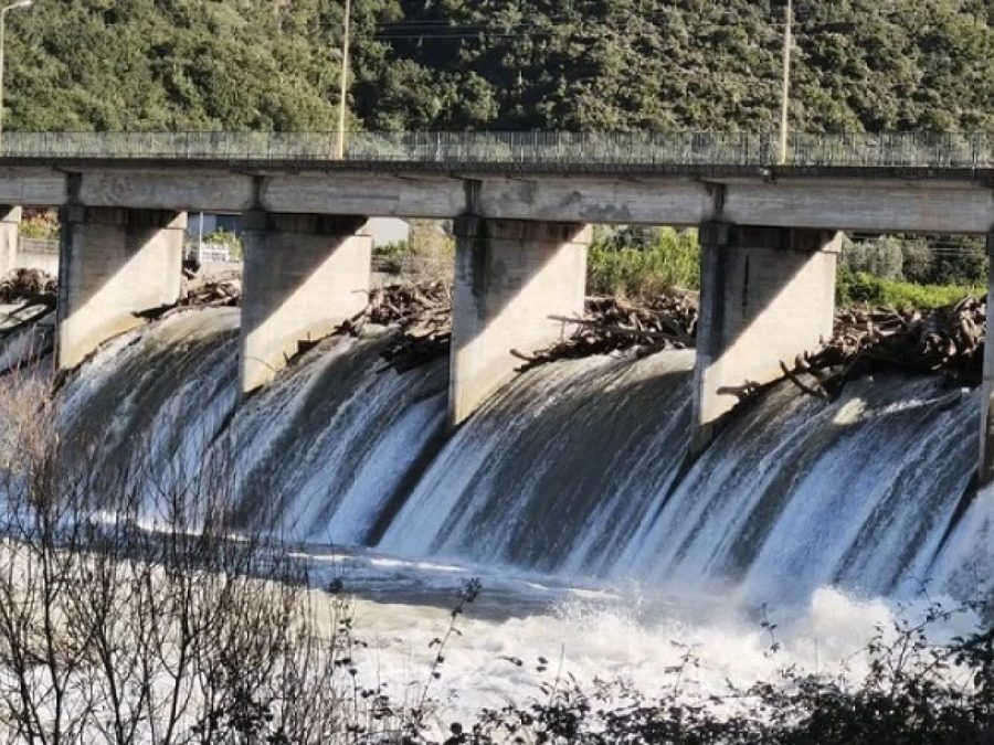 Έφραξε από κορμούς δέντρων η γέφυρα στο Ράγιο