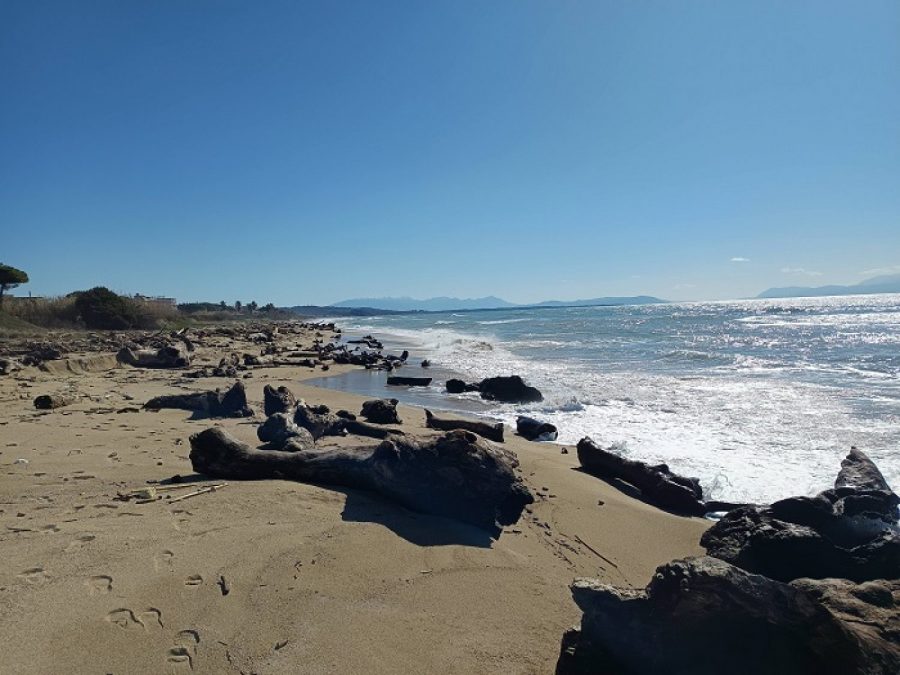 Τεράστιες ποσότητες  ξύλων και άλλων φερτών υλικών έχουν γεμίσει τις παραλίες της Πρέβεζας