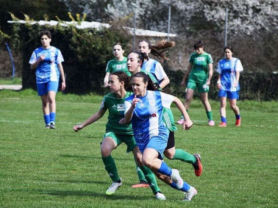 Τίγρεις- ΠΑΣ Γιάννινα WFT 0-8: Τα στιγμιότυπα (video)