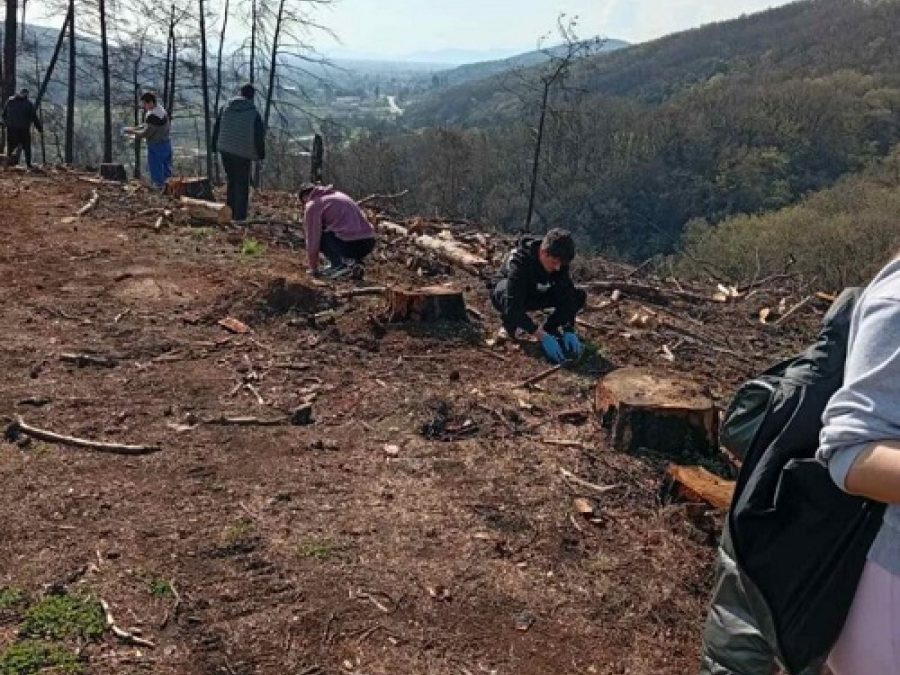 Μαζί με το πράσινο επιστρέφει και η ελπίδα στο δάσος της λίμνης Ζηρού