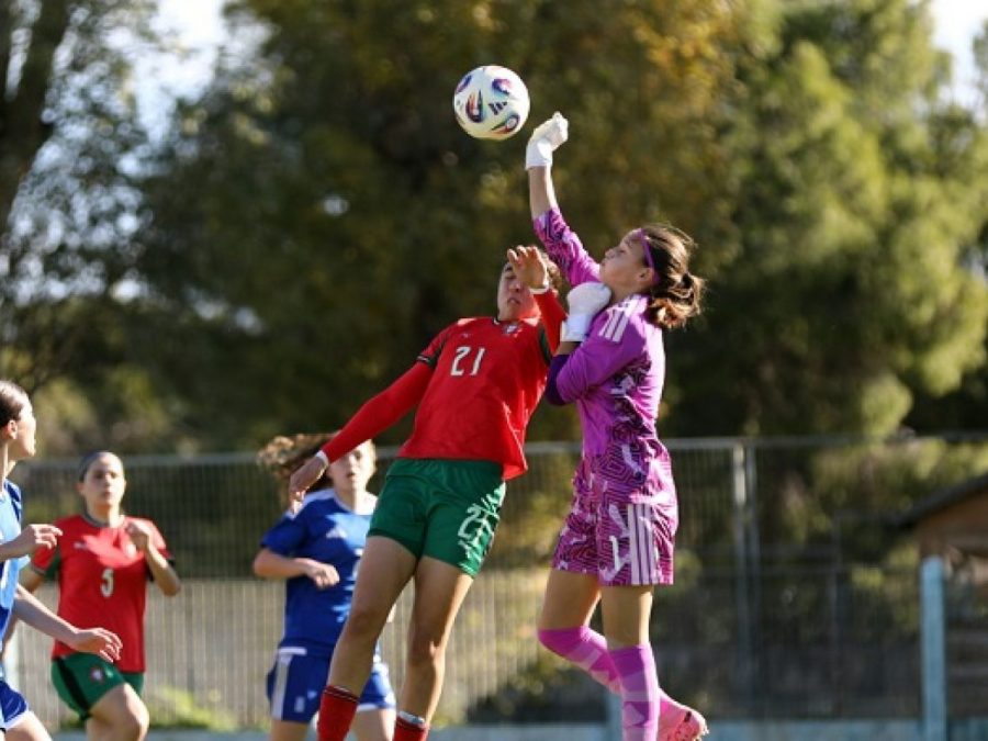 Με το εθνόσημο δύο του Άτλα Ήπειρος WFC