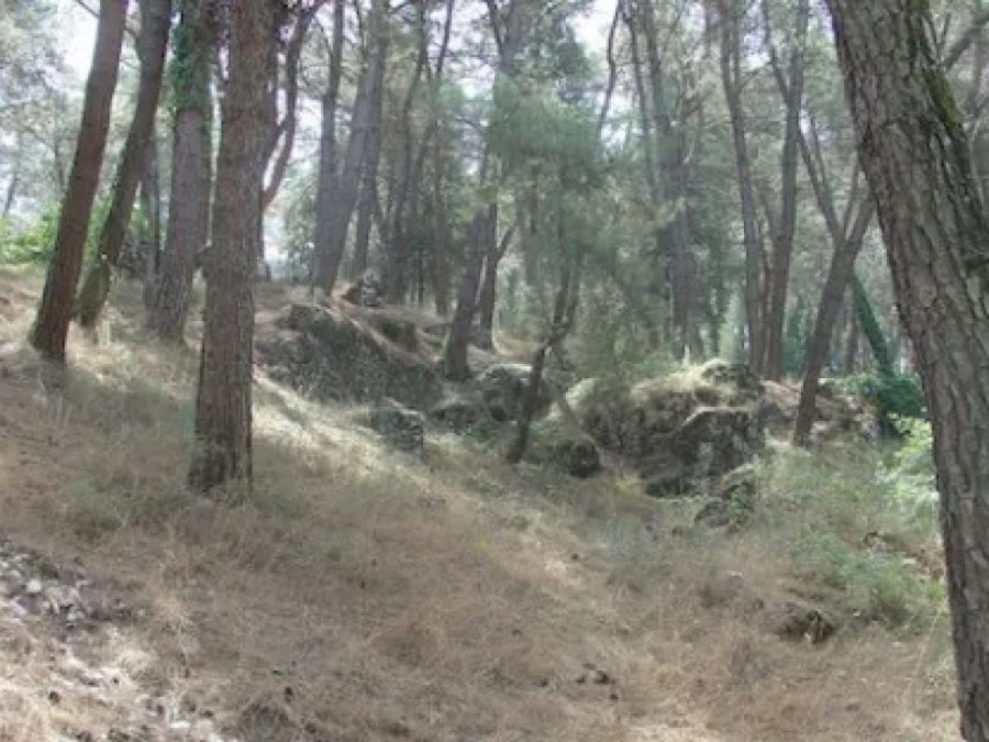 Προληπτική απαγόρευση κυκλοφορίας σε δάση της Π.Ε. Ιωαννίνων