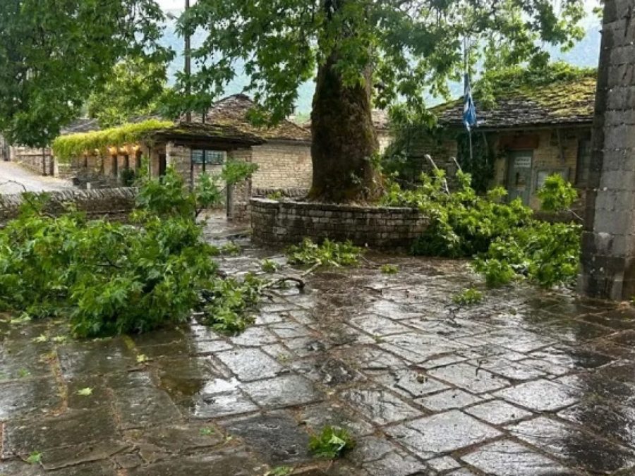 Πάπιγκο: Κατέρρευσε τμήμα από τον πλάτανο την ώρα της μπόρας