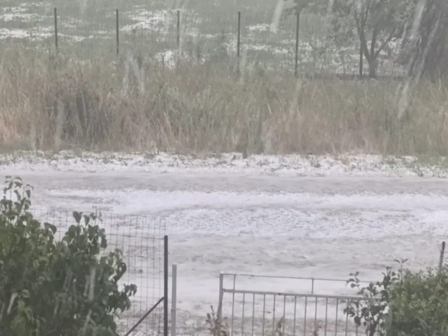 Σφοδρή χαλαζόπτωση στην Πεδινή – Ζημιές σε καλλιέργειες και πανικός σε Πανεπιστήμιο και Νοσοκομείο
