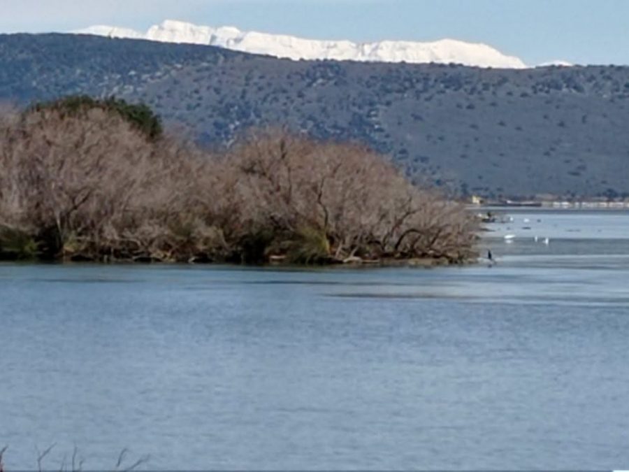 Θετικός ο απολογισμός για την απόδοση των λιμνοθαλασσών της Πρέβεζας για το αλιευτικό έτος 2025-2026