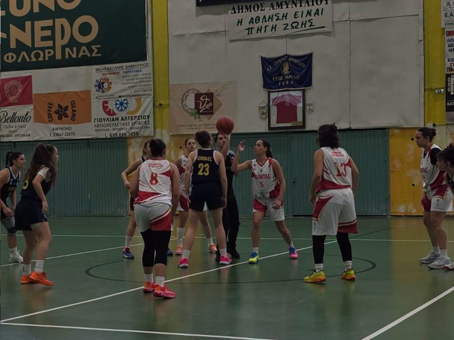Διαιτητές – Κομισάριοι WNL (17-18/10)