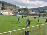 Τίγρεις-Π.Α.Σ. Φλώρινα 3-0: Δεύτερη σερί νίκη οι Tigers